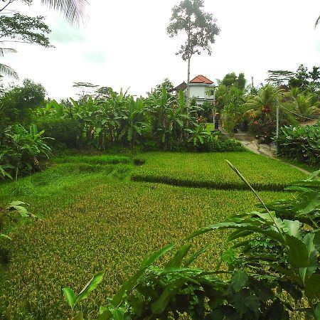 Mandala Hostel Ubud Экстерьер фото