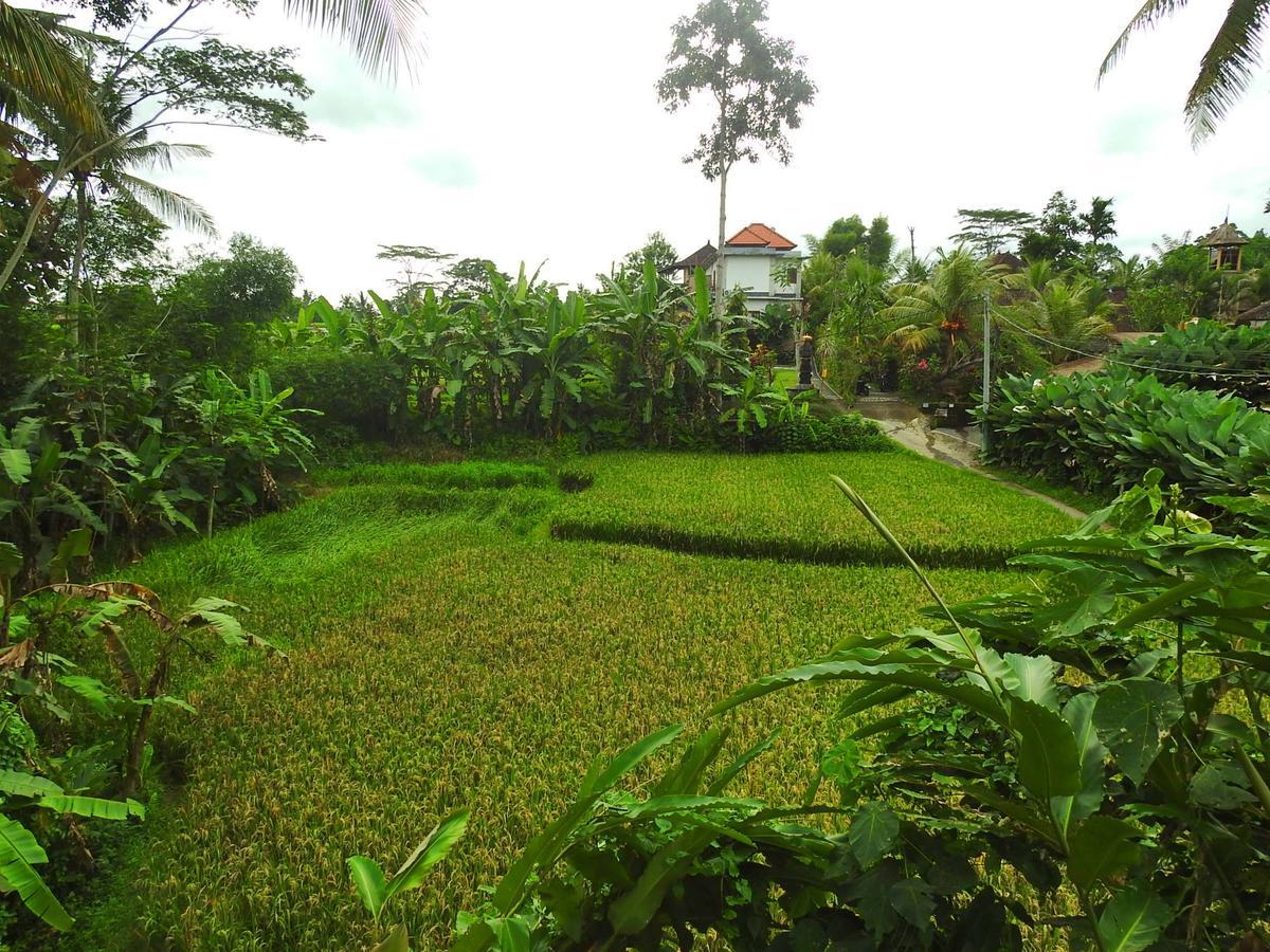 Mandala Hostel Ubud Экстерьер фото