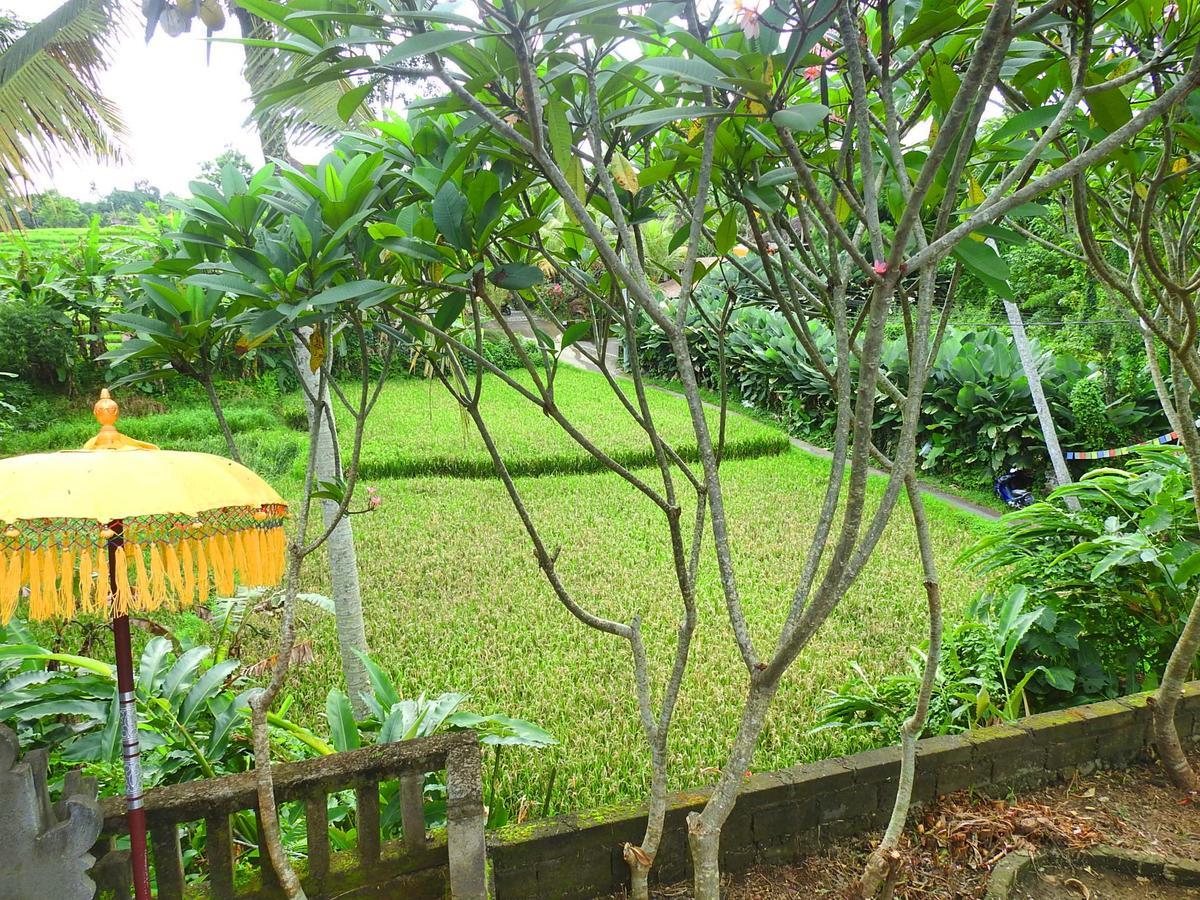 Mandala Hostel Ubud Экстерьер фото